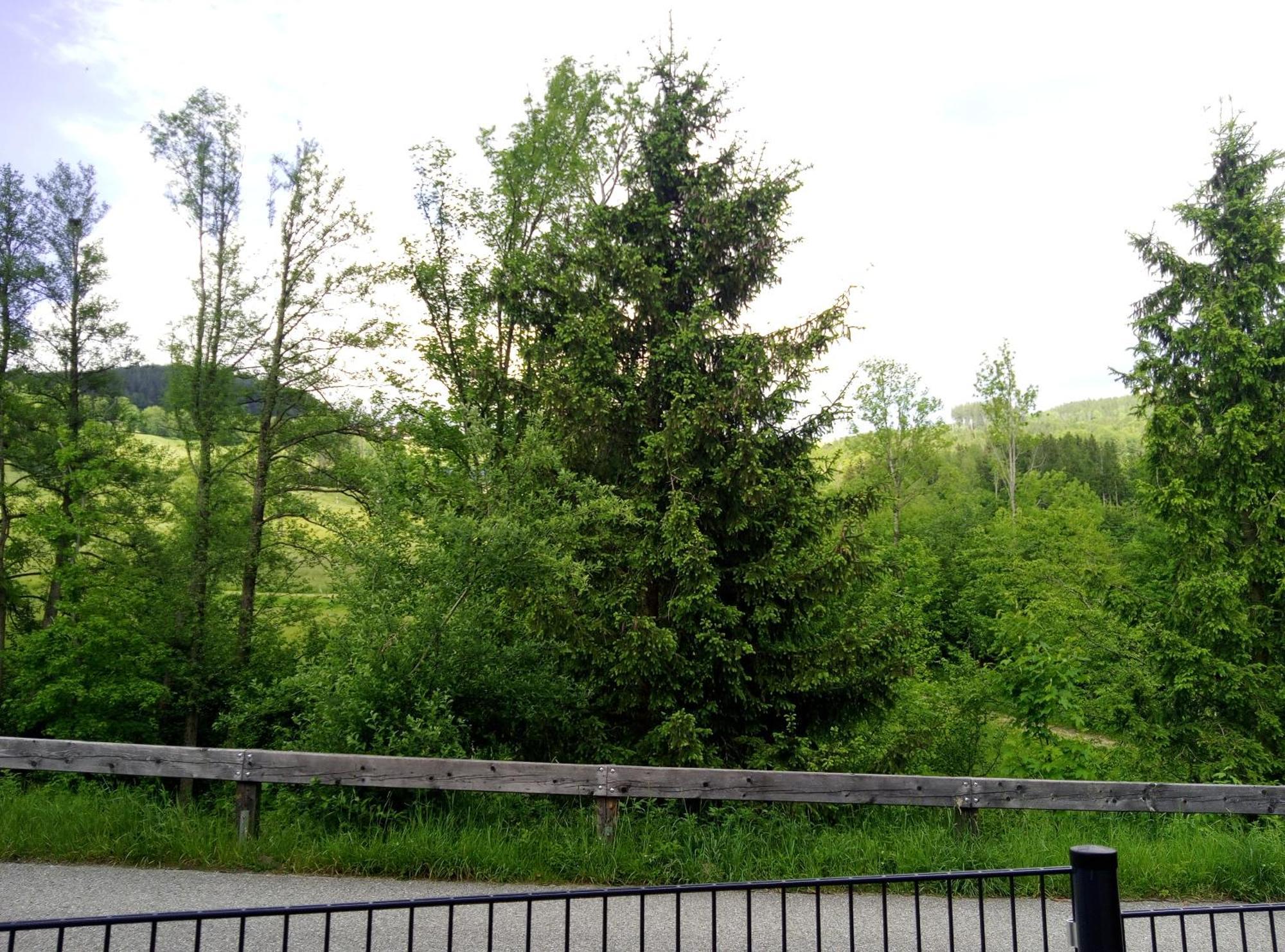 Feapp Parken & Pennen Daire Mondsee Dış mekan fotoğraf