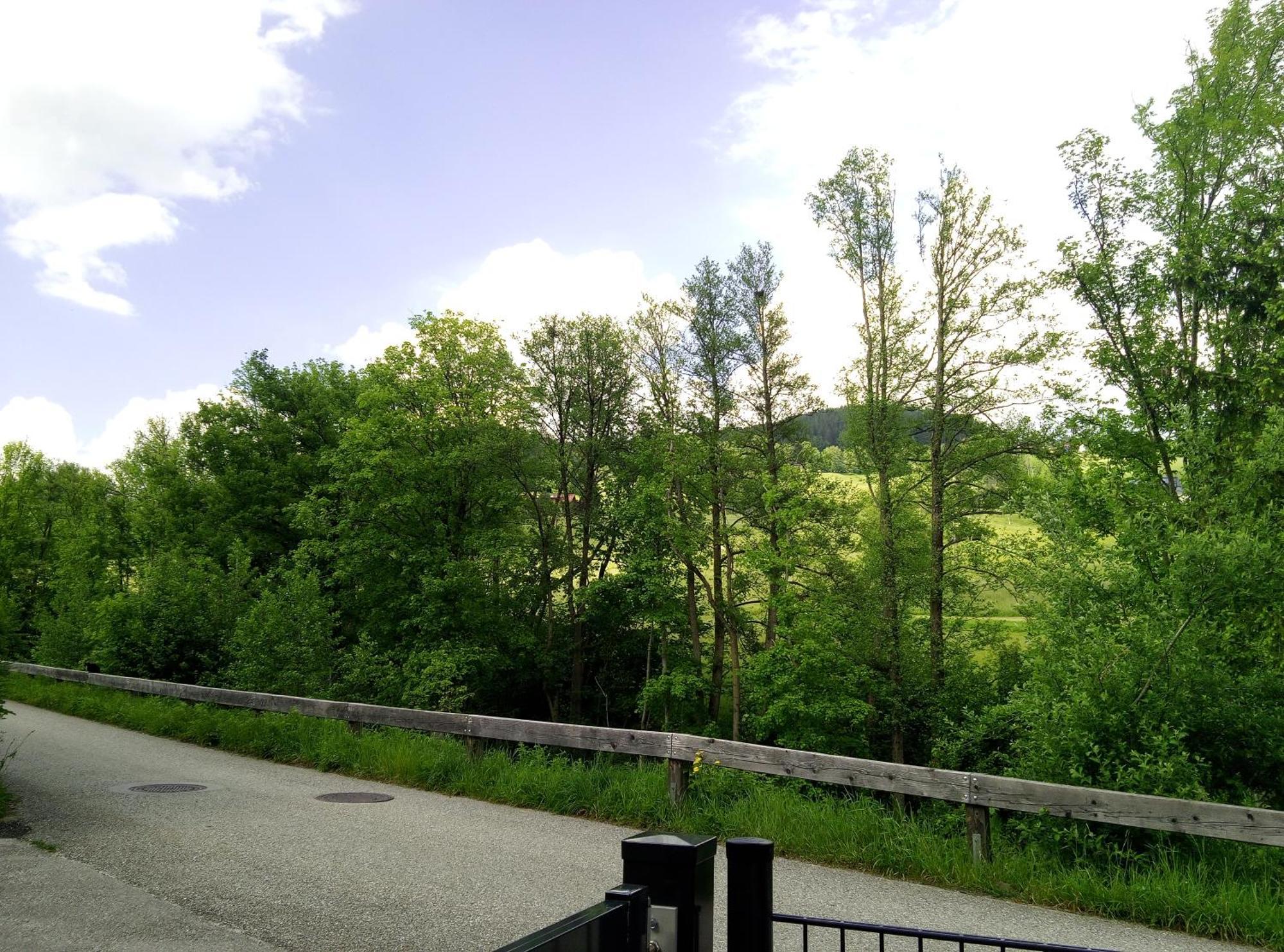 Feapp Parken & Pennen Daire Mondsee Dış mekan fotoğraf